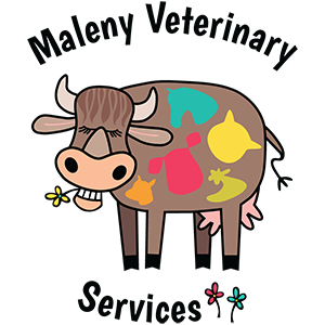 Maleny Veterinary Services