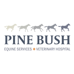 Pine Bush Equine