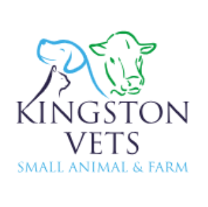 Kingston Vets