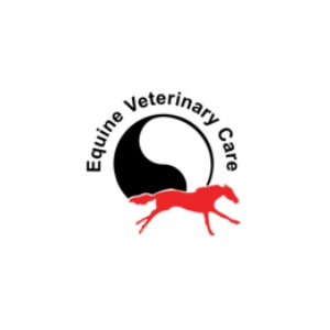 Equine Veterinary Care