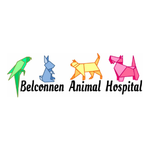 Belconnen Animal Hospital