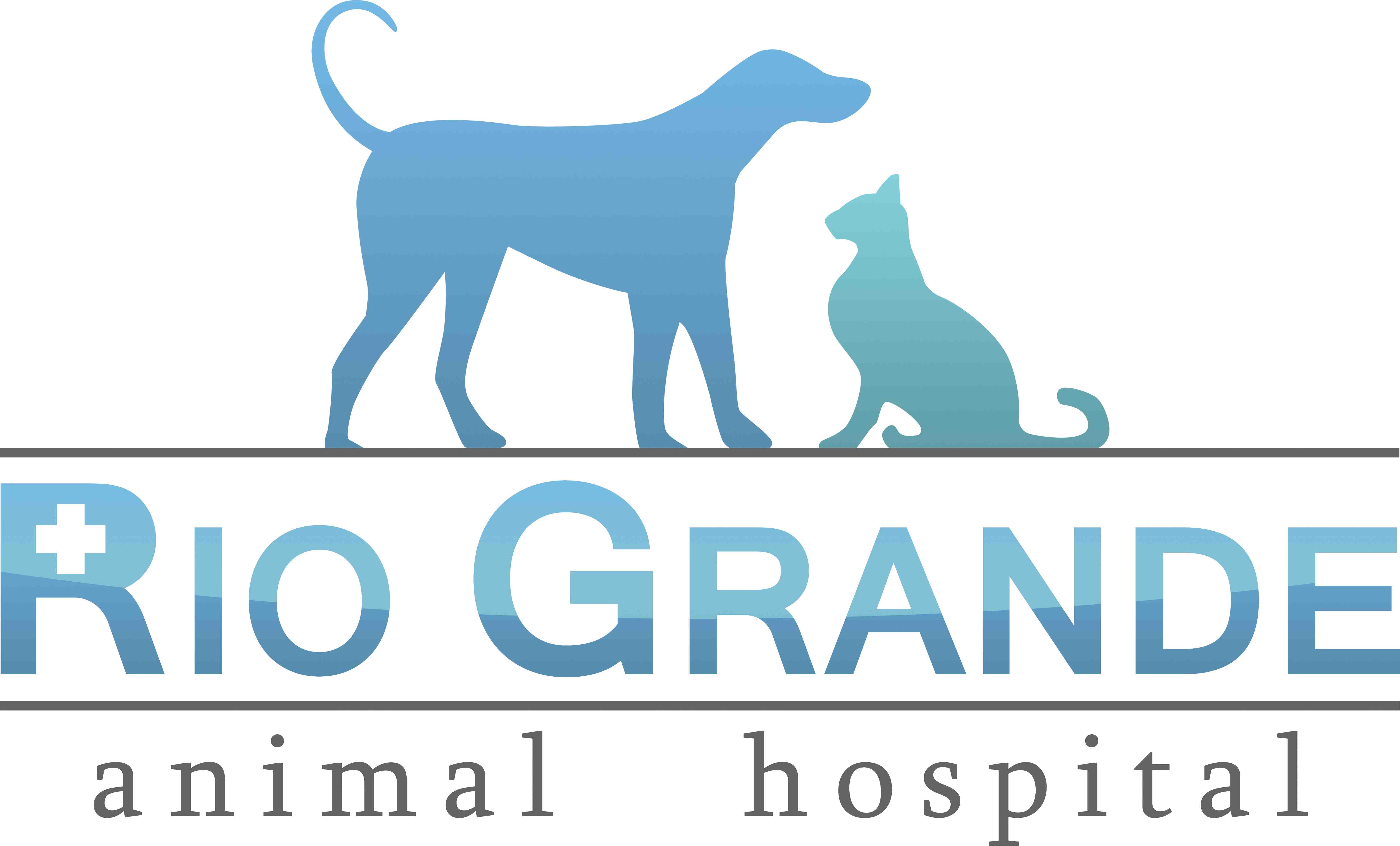 Rio Grande Animal Hospital