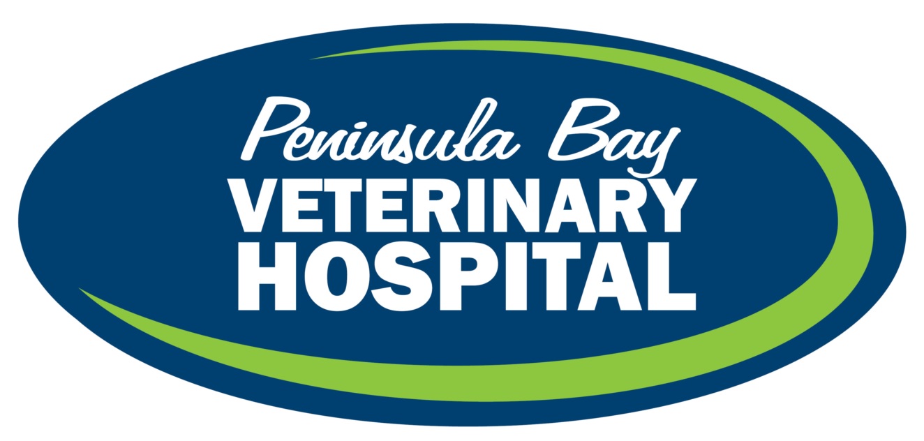 Veterinary Hospital Group
