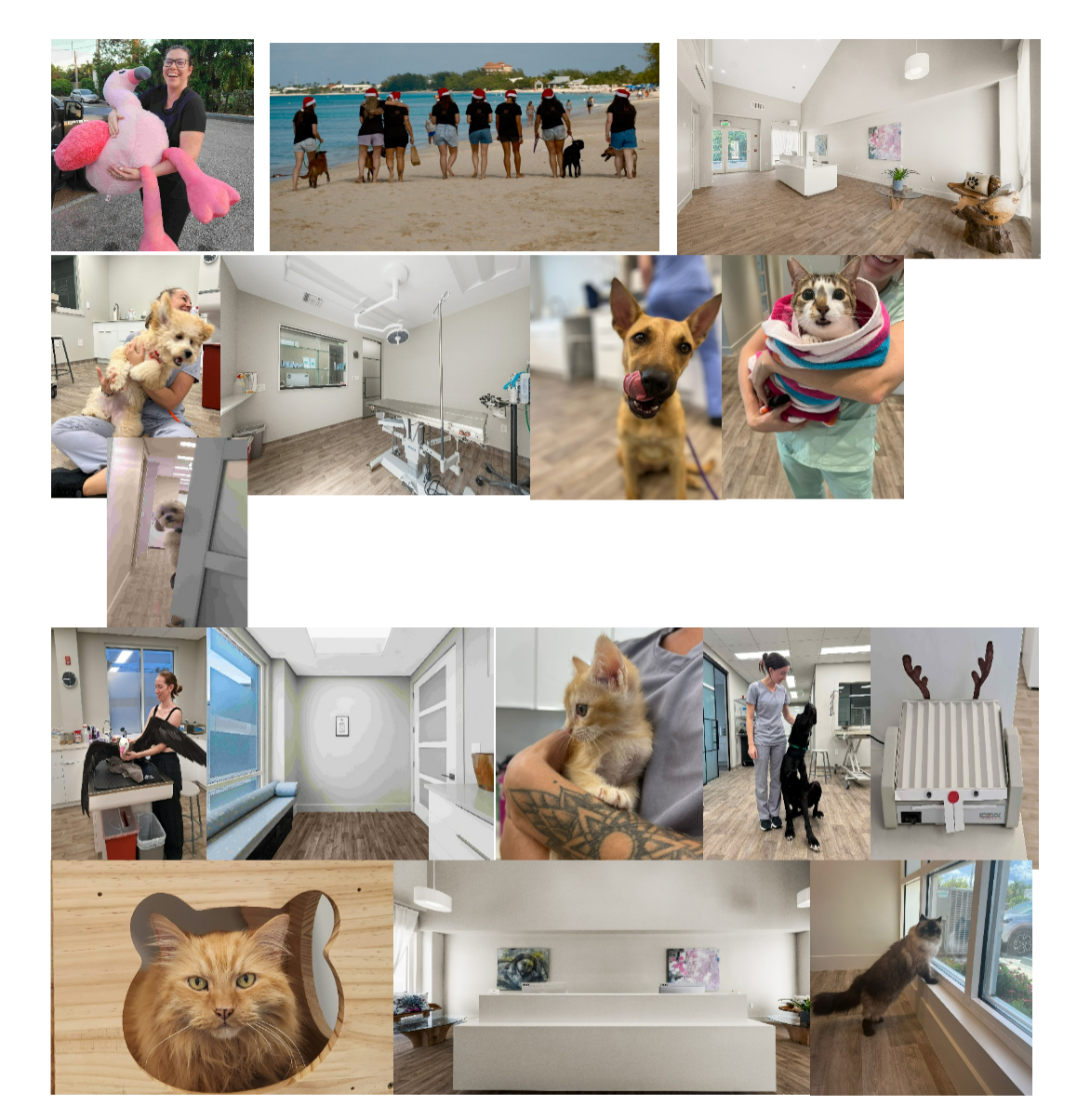 Seven Mile Animal Centre