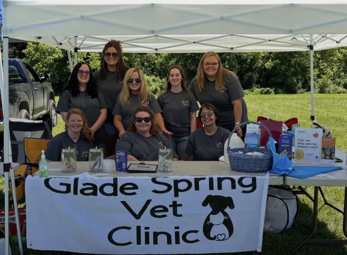 Glade Spring Veterinary Clinic