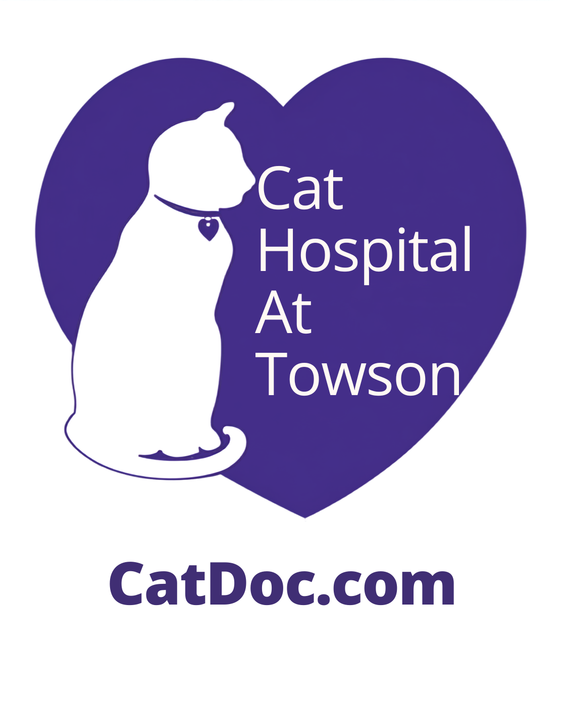 Cat Hospital At Towson