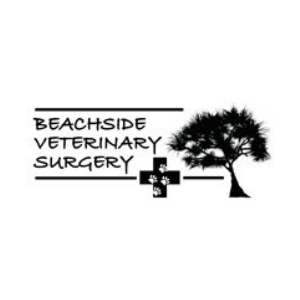 Beachside Veterinary Surgery